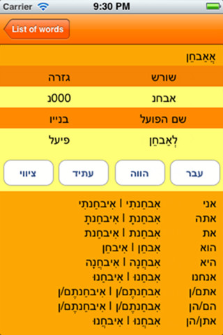 iPhone Hebrew Verbs Application